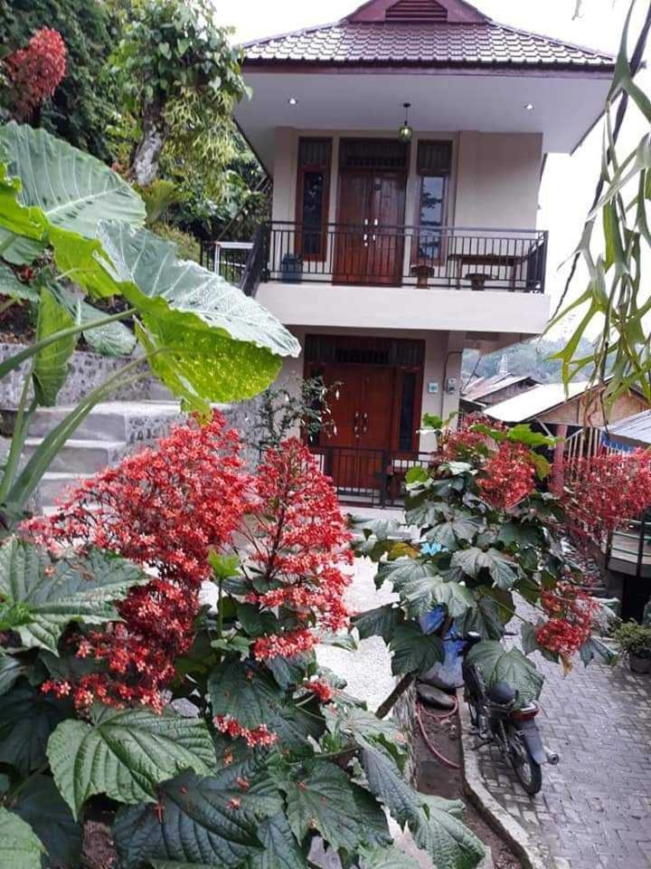 Bukit Lawang Hotel Buitenkant foto